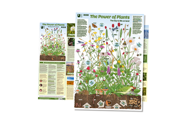 Free BBC Power Of Plants Poster