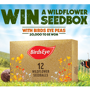 Free Birds Eye Seedbox